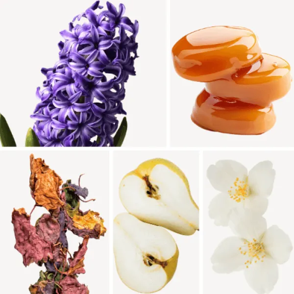 Duftnoten: Schwertlilie, Karamell, Patschuli, Birne, Jasmin Duftnoten: Schwertlilie, Karamell, Patschuli, Birne, Jasmin